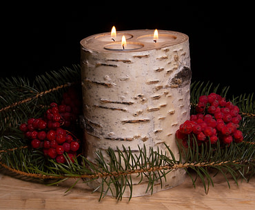 Candle holder made from a birch tree log