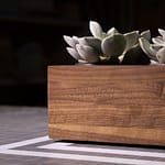 Walnut Planter Box for Succulents