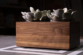 Walnut Planter Box for Succulents
